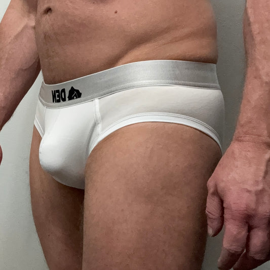 Den Briefs - Worn
